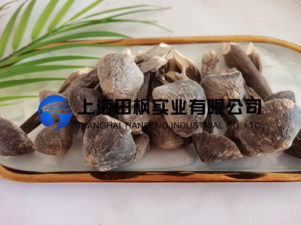 雞樅菌凍干機：食品凍干機真空冷凍干燥雞樅菌工藝流程