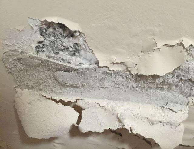 膩?zhàn)臃鄯烂箘? width=