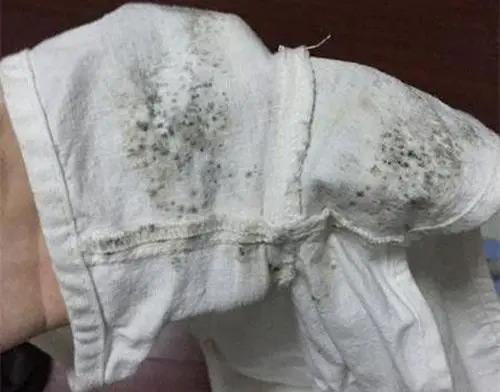 防蟲防霉劑應(yīng)用場景